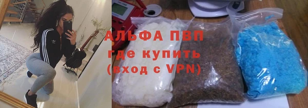 индика Алзамай