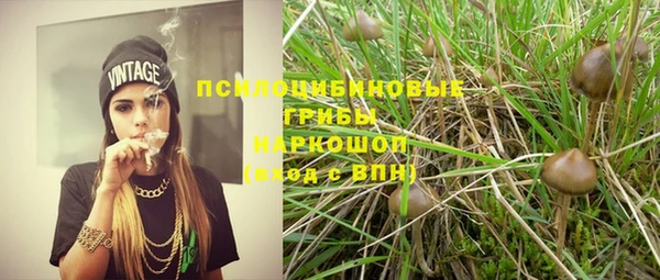 индика Алзамай