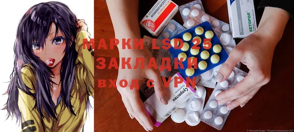 индика Алзамай