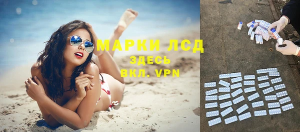 индика Алзамай