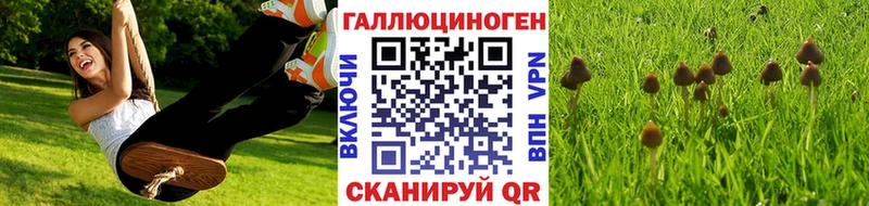 hydra ТОР  наркошоп  Омутнинск  Галлюциногенные грибы прущие грибы 
